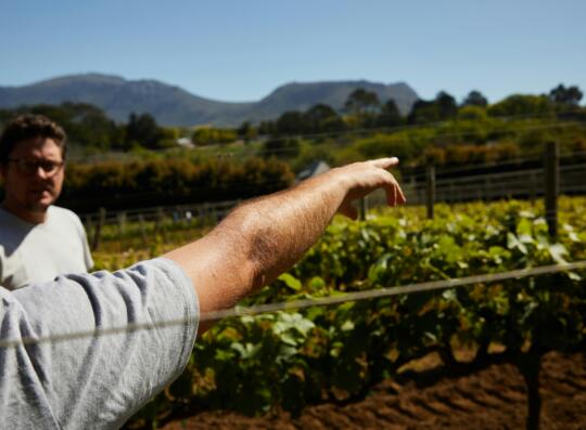 Visita de campo & Cata en el Celler Carlón